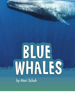 cover image of Blue Whales